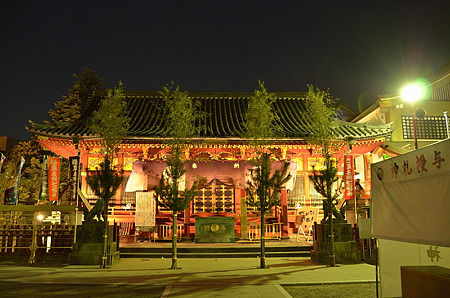 迎春の浅草神社