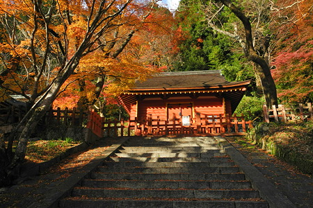 談山神社の紅葉-3