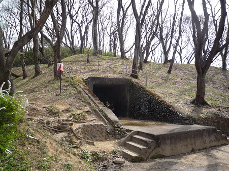 P1020246