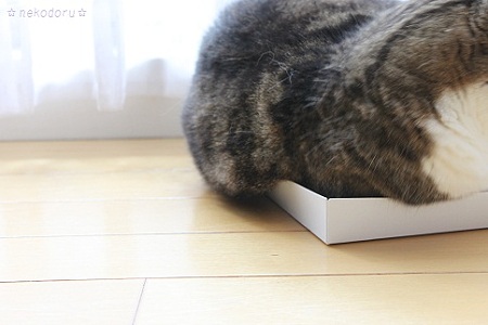 小さすぎ