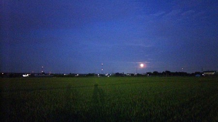 満月!?