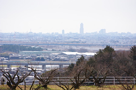 120226豊岡梅園03