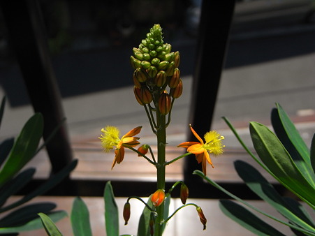 R0012312
