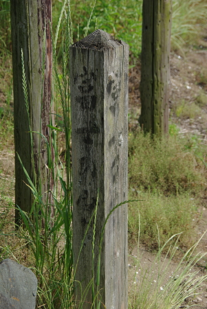 木の看板（富士塚）