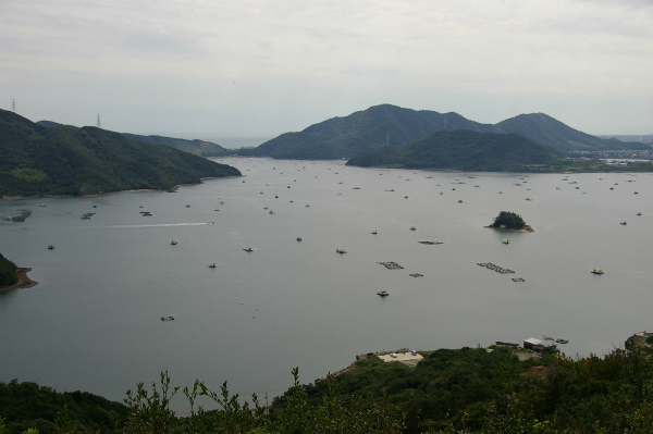 目の前に広がるウチノ海