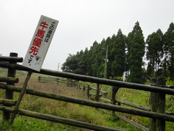 牛馬優先の標識