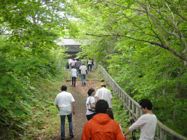 緑に囲まれた階段を登っていく