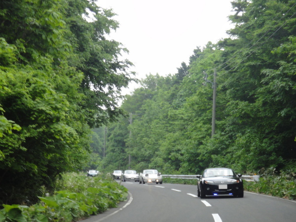 通り雨に打たれたロードスター達