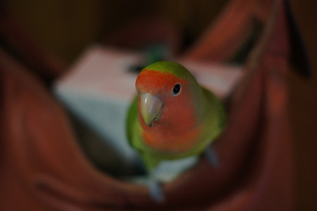 DSC00927